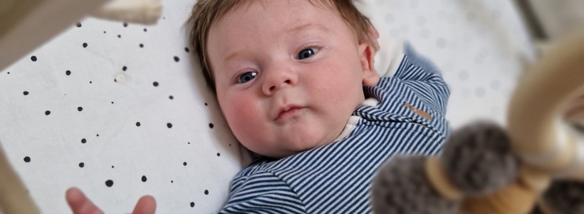 BABI Photo 4