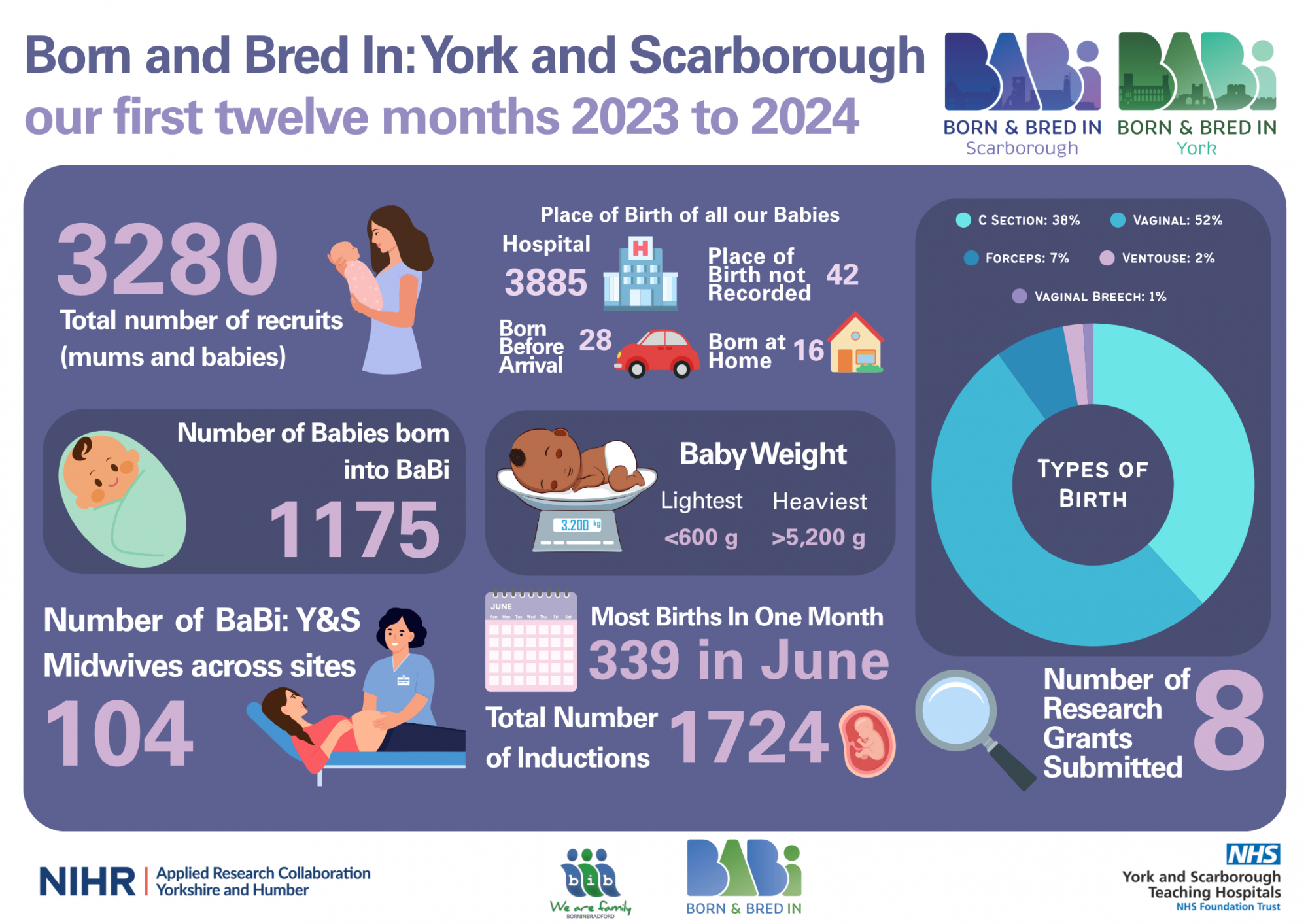 BaBi Infographic